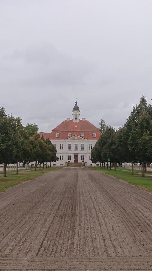 Fewo In Neustadt/Dosse, Der Stadt Der Pferde Leddin Kültér fotó
